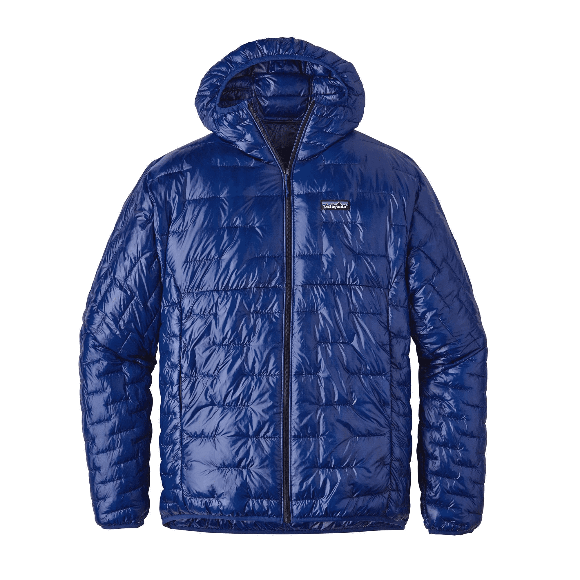 Patagonia Micro Puff Hoody