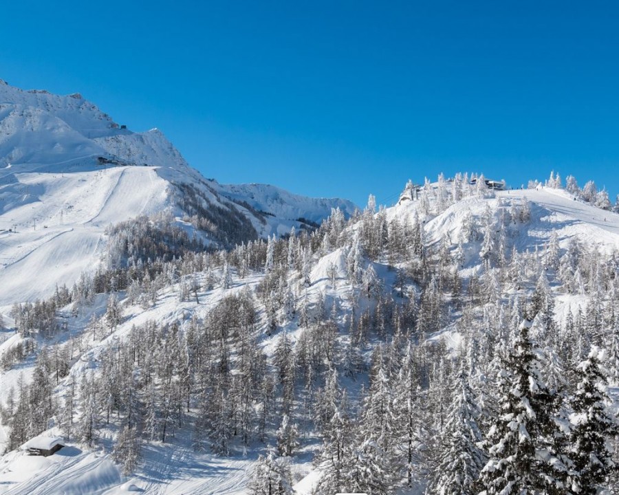 Courmayeur Ski