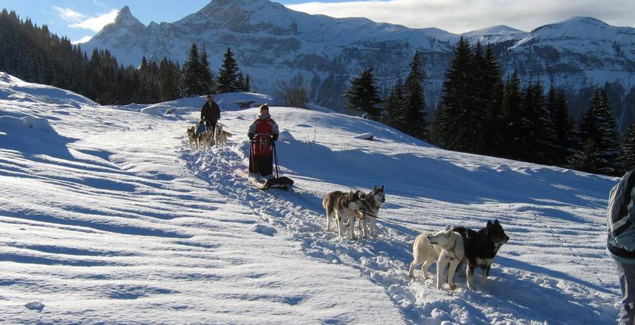 activitiesentertain (1)